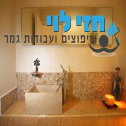 חזי לוי – שיפוצים ועבודות גמר