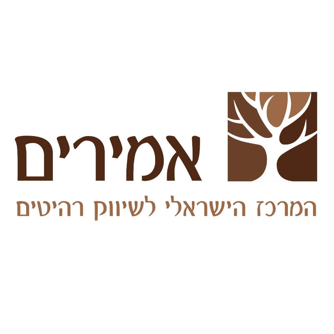 "אמירים" המרכז הישראלי לריהוט